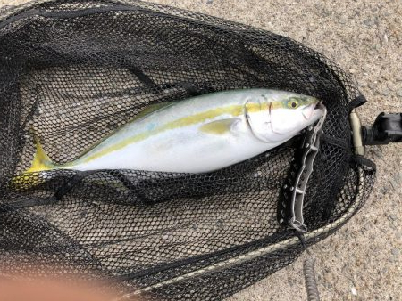 遂にやりました！