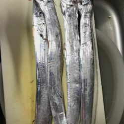太刀魚ウキ釣り