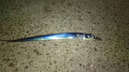 刀狩り＜爆釣＞