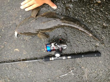 河口ライトゲーム