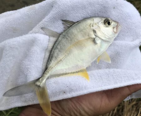 ランガンメッキ