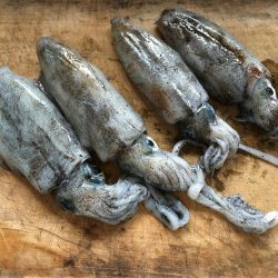 爆風、カッパ着用w