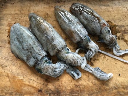 爆風、カッパ着用w