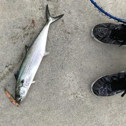 トップでドン！