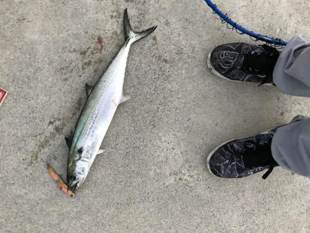 トップでドン！