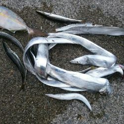 ダブル‼つ抜け(^^)vｯ