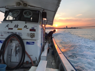 明石 太刀魚 鯛