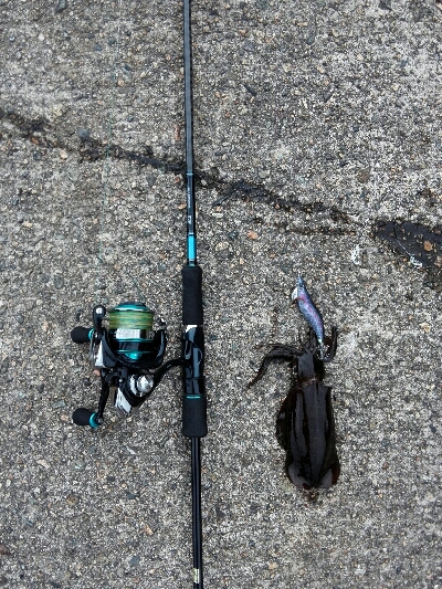 湾内でもよきよき！！