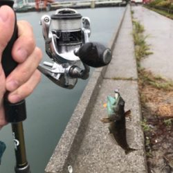 フェリー待ちの暇つぶしに