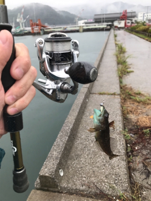 フェリー待ちの暇つぶしに