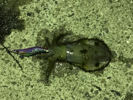 帰りの一時間で！