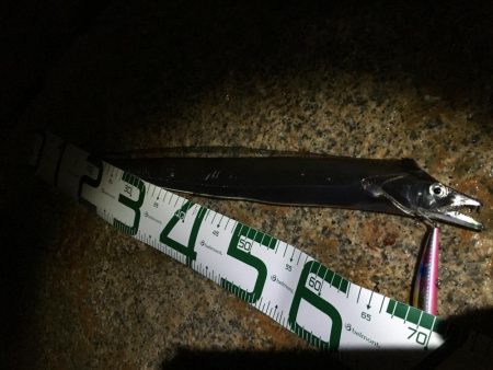 祭りの後にしれっと