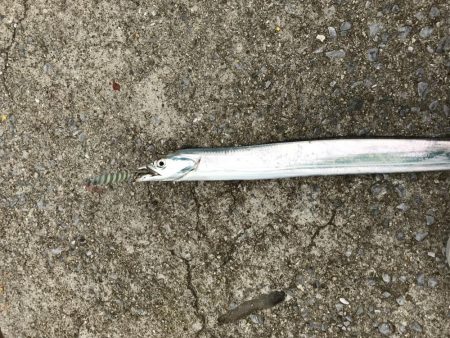 ベルトサイズばっかり