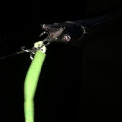 小島漁港タチウオ調査。魚影は濃いものの苦戦(＞＜)