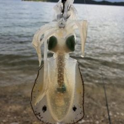 サーフチャレンジ！