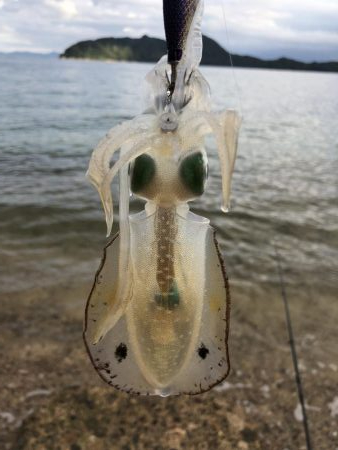 サーフチャレンジ！