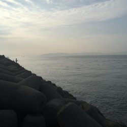 やっと、青物釣れました。