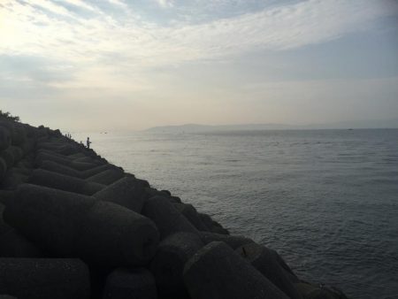 やっと、青物釣れました。