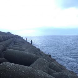 風が強かったです。