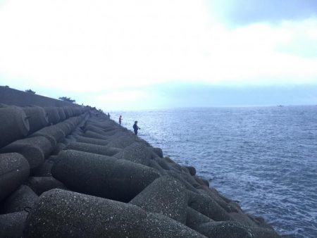 風が強かったです。