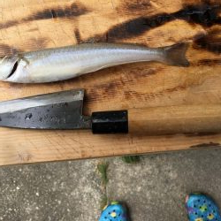 ファミリーキャンプフィッシング