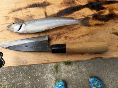 ファミリーキャンプフィッシング