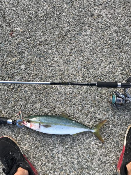 うっひょーい！！