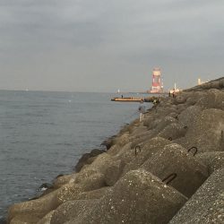 今日も釣れて嬉しい！