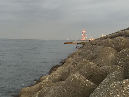 今日も釣れて嬉しい！