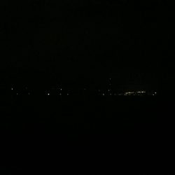 今年初のタチウオだー！