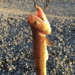 ショアジギング