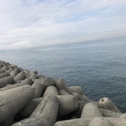 活性高いトップゲーム