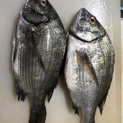 いい場所でした！