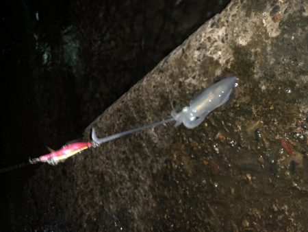 久しぶりだけど、