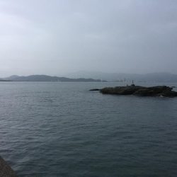 今年初秋エギング