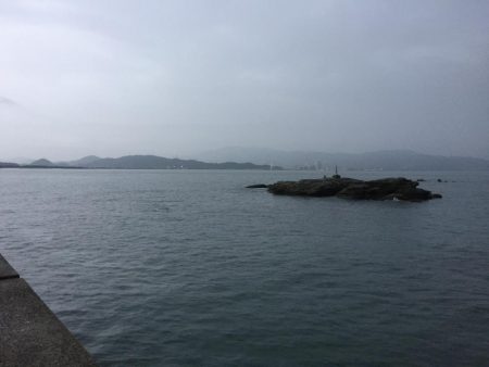 今年初秋エギング