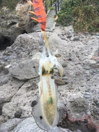 台風一過で……