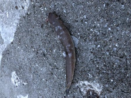 ワインド&ライトワインド