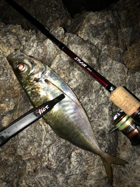 ナイトアジング