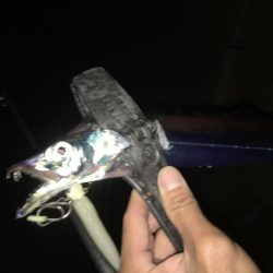 渋いながらも３本