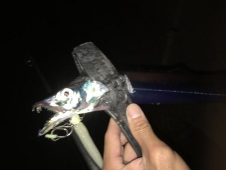 渋いながらも３本