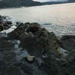 ショアジギング最高