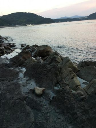 ショアジギング最高