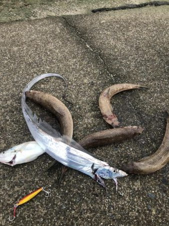 ライトショアジギング