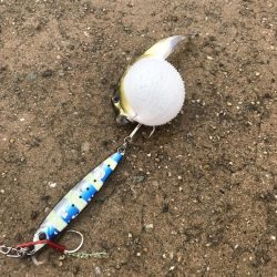 雨の中釣り三昧。