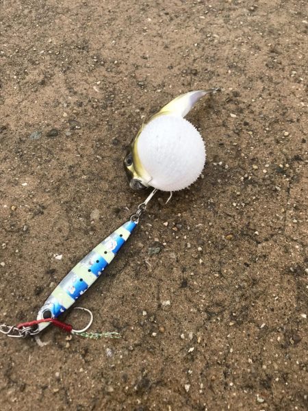 雨の中釣り三昧。