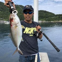 ショアジギ、時々エギング