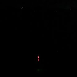 とりあえずウキ釣りでタチウオ