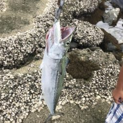 サーフトローリング