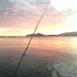 舞鶴港うろうろ ＊＊ング（笑）